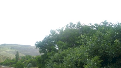 Köy
