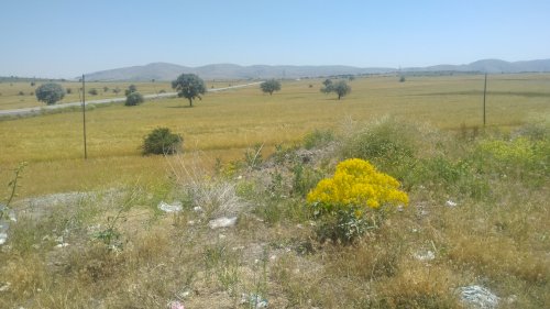 Köy